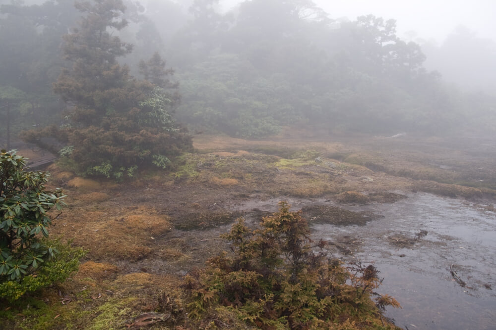 花之江河の写真 ©Σ64(CC BY 3.0)