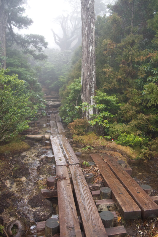 花之江河の写真 ©Σ64(CC BY 3.0)