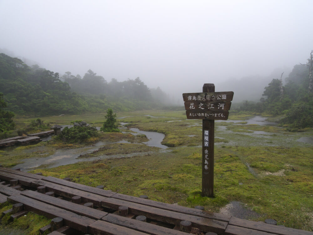 花之江河の写真 ©Yasu(CC BY-SA 3.0)