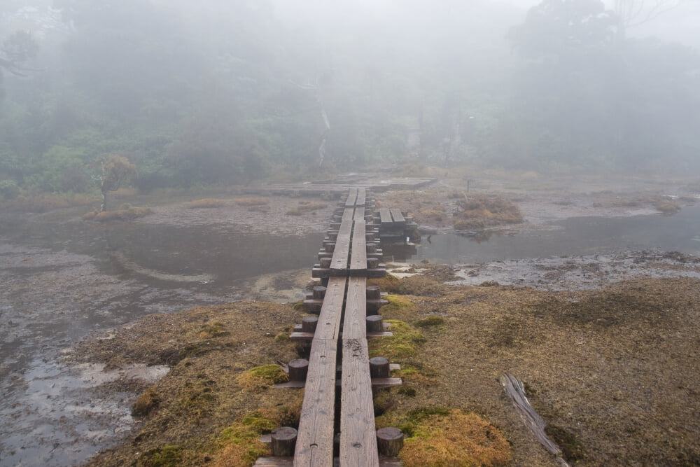 花之江河の写真 ©Σ64(CC BY 3.0)