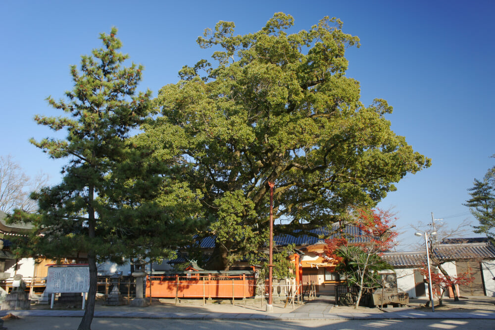 龍田神社の写真 ©663highland(CC-BY-SA-3.0)