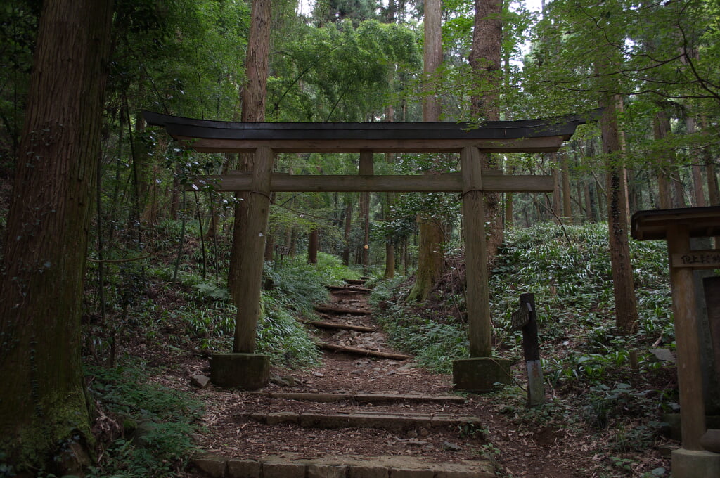 八王子城跡の写真 ©珈琲牛乳(CC BY 3.0)