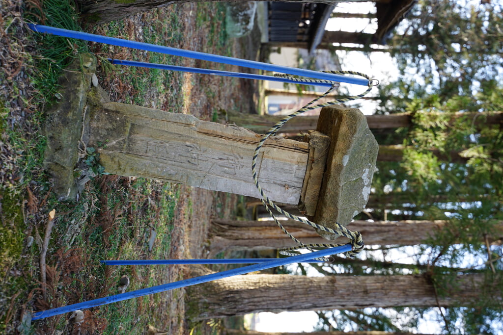 辛科神社の写真 ©Taisuke.Kasuya(CC BY-SA 4.0)