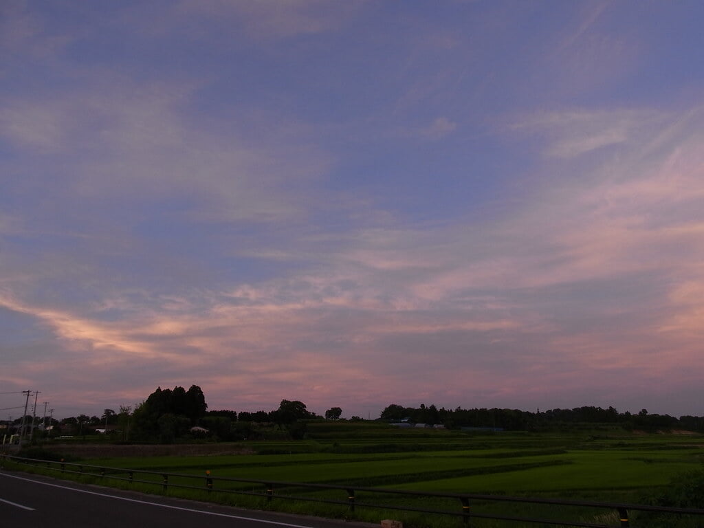 大池公園の写真 ©M.Murakami(CC BY-SA 2.0)