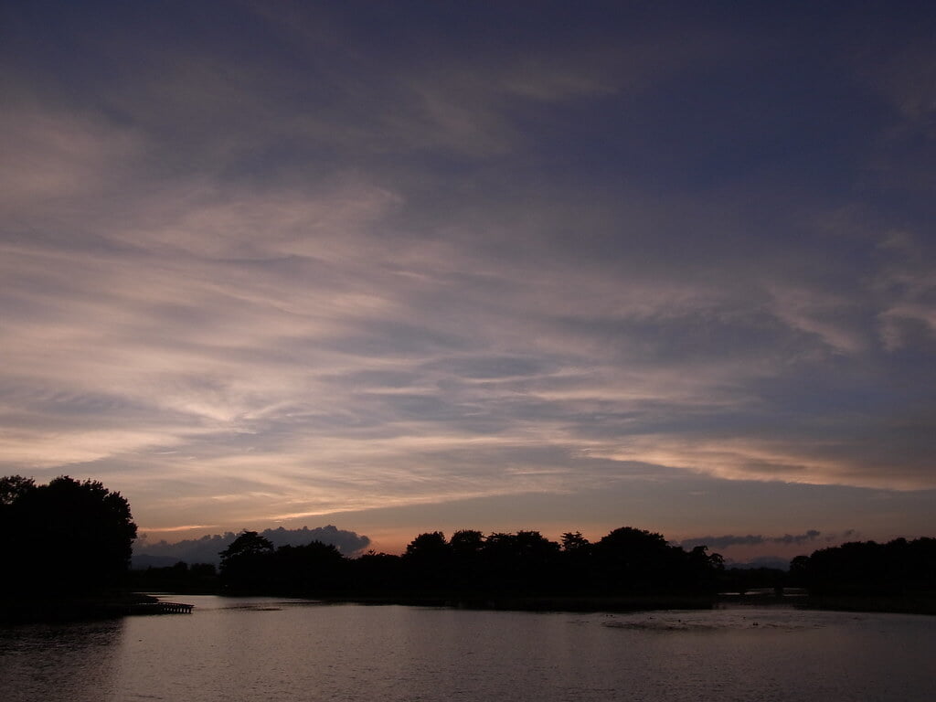 大池公園の写真 ©M.Murakami(CC BY-SA 2.0)