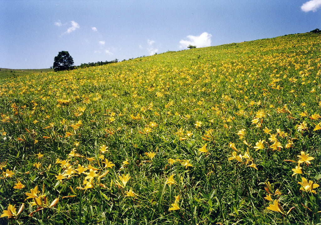 野反湖の写真 ©fum3670045(CC BY 3.0)