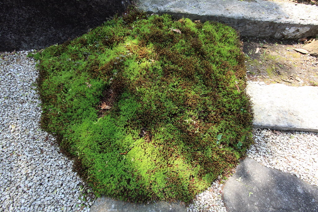 岡部記念館の写真 ©TANAKA Juuyoh (田中十洋)(CC BY 2.0)