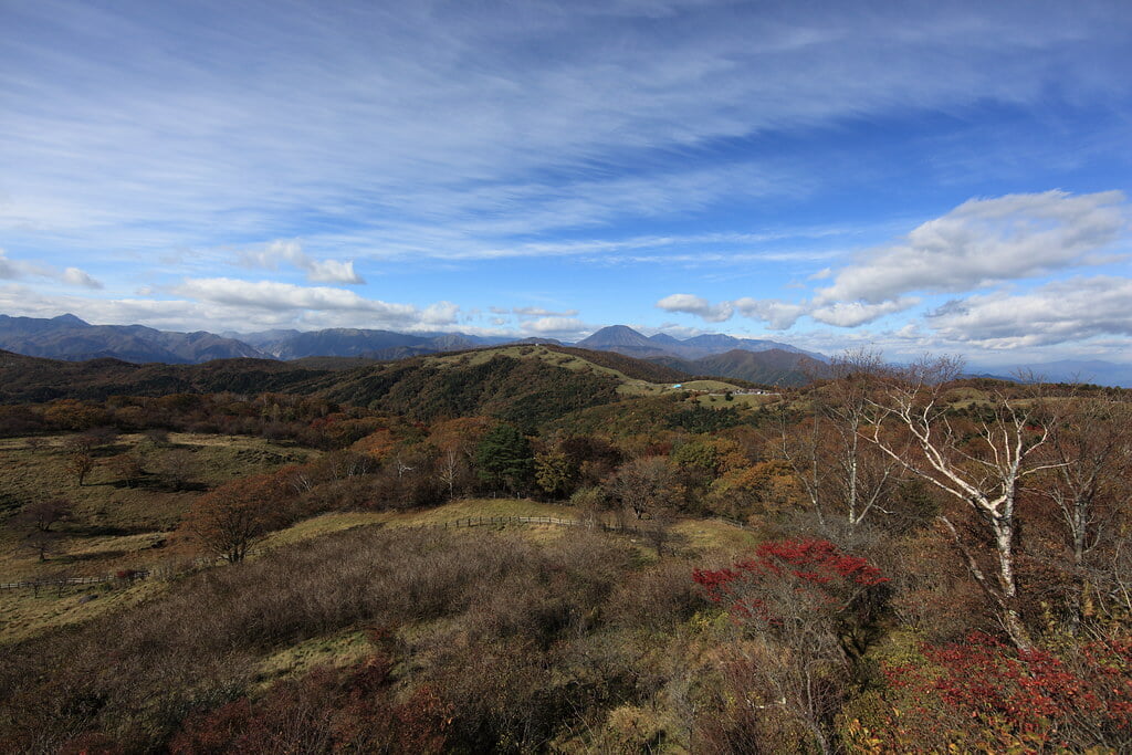 井戸湿原の写真 ©TANAKA Juuyoh (田中十洋)(CC BY 2.0)