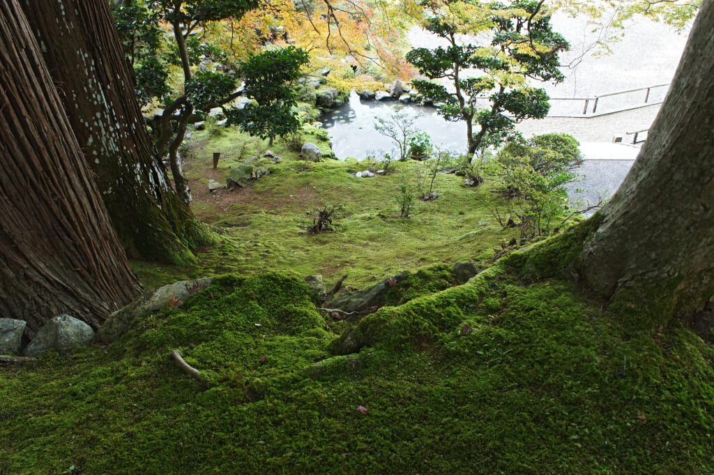 萬徳寺の写真 ©663highland(CC-BY-SA-3.0)