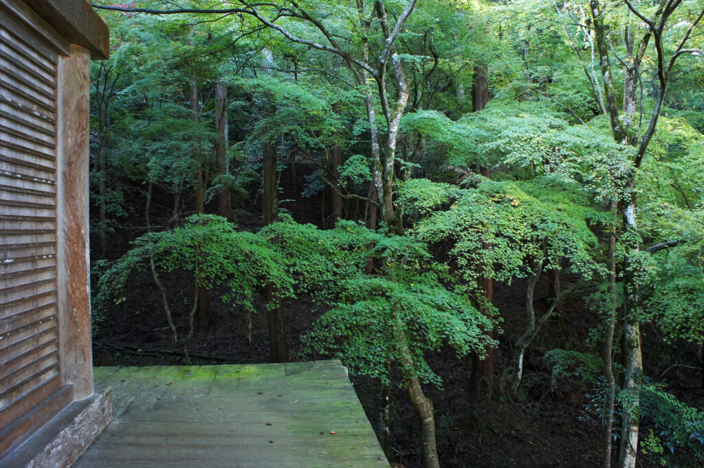 萬徳寺の写真 ©663highland(CC-BY-SA-3.0)