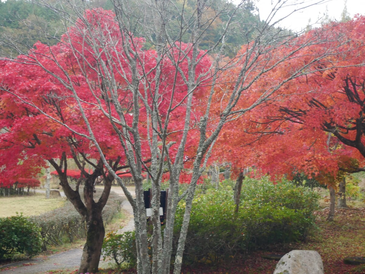 まきばの館(岡山県農林水産総合センター畜産研究所)の写真 