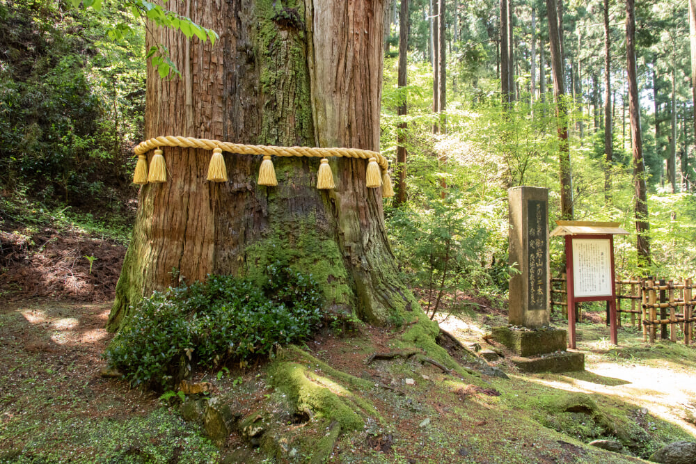 御岩神社の写真 ©Σ64(CC BY 4.0)