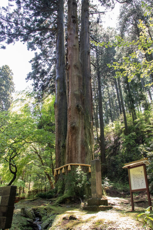 御岩神社の写真 ©Σ64(CC BY 4.0)