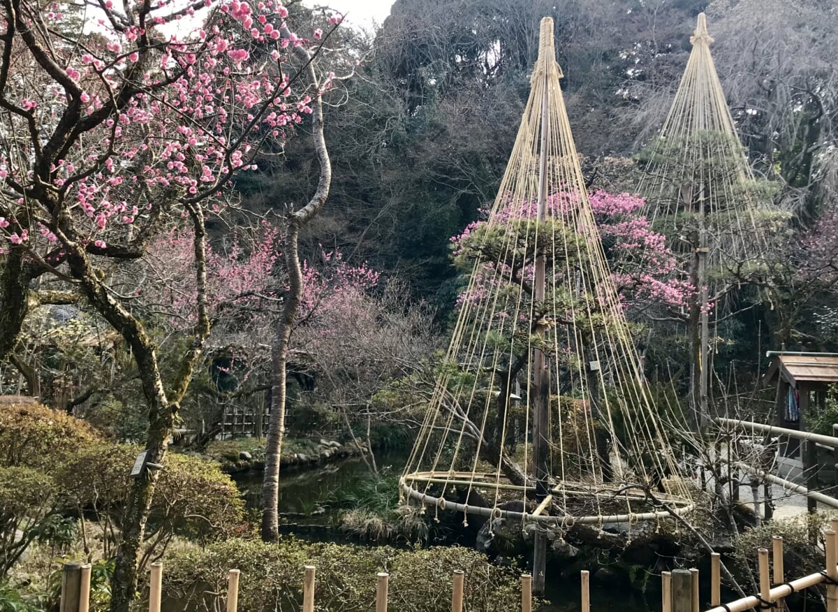 京王百草園の写真 