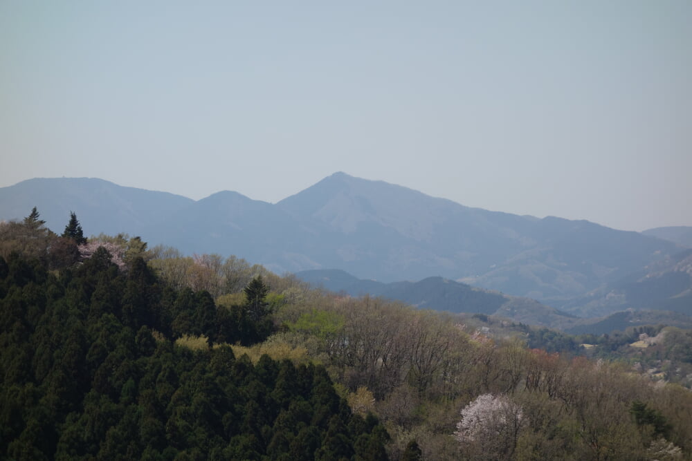 仙元山の写真 ©Koda6029(CC BY-SA 4.0)