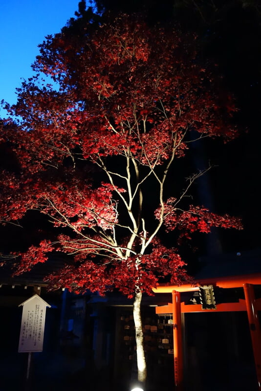 大山阿夫利神社の写真 ©Richard, enjoy my life!(CC BY-SA 2.0)