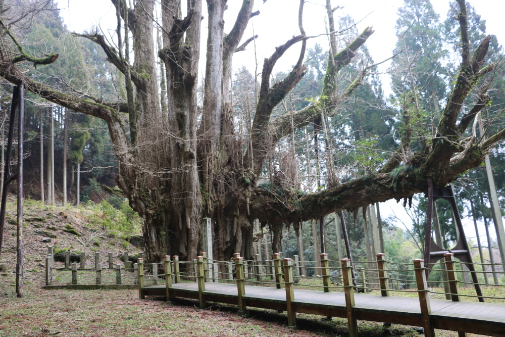 菩提寺の写真 ©さかおり(CC BY-SA 4.0)