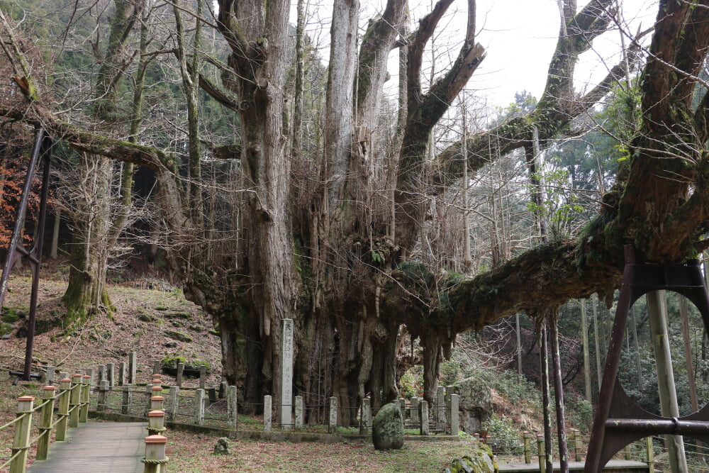 菩提寺の写真 ©さかおり(CC BY-SA 4.0)