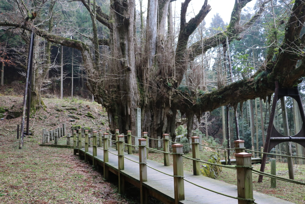 菩提寺の写真 ©さかおり(CC BY-SA 4.0)