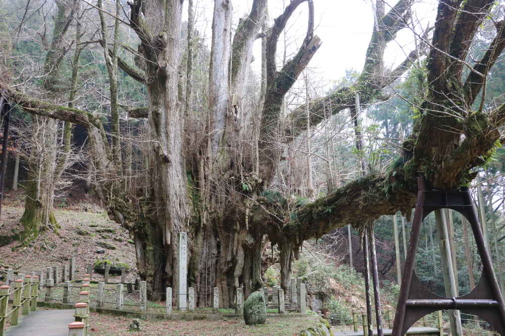 菩提寺の写真 ©さかおり(CC BY-SA 4.0)