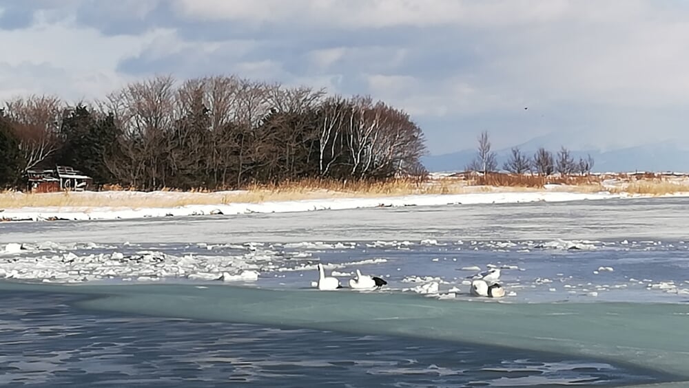 濤沸湖の写真 