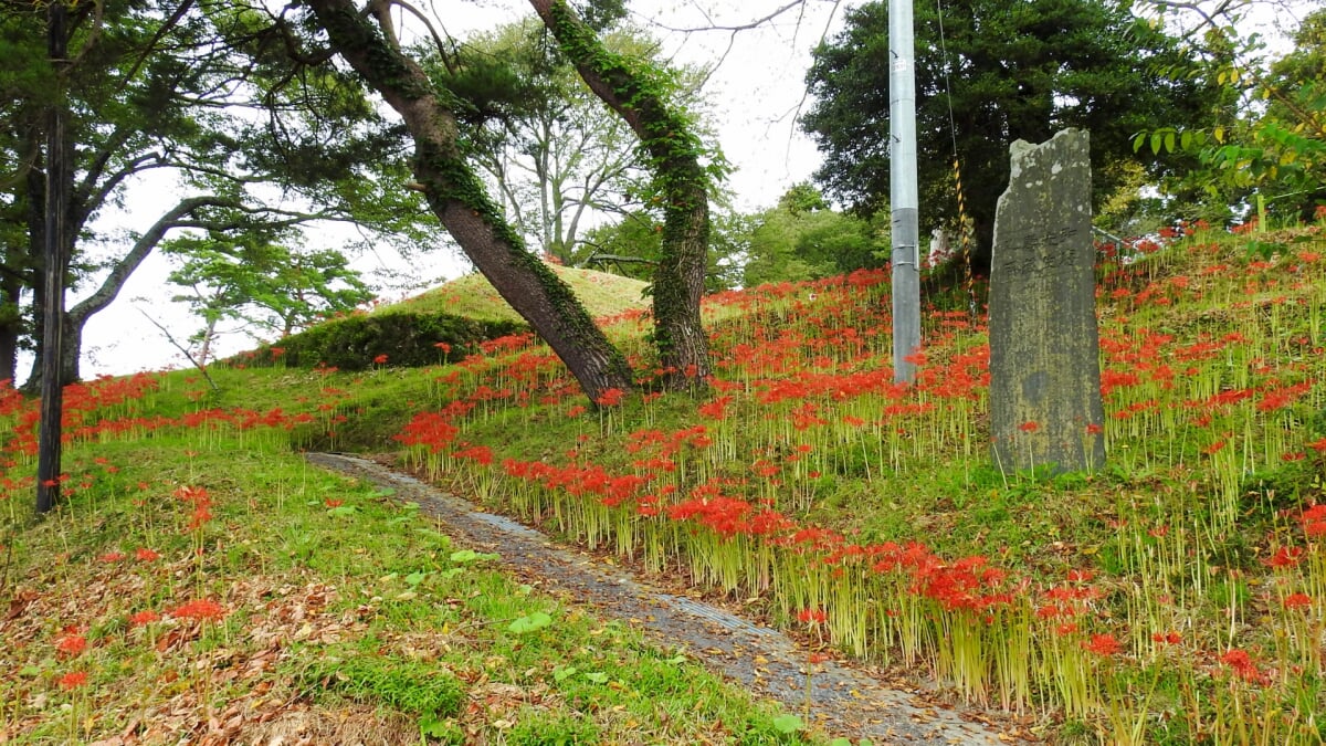 羽黒山公園の写真 