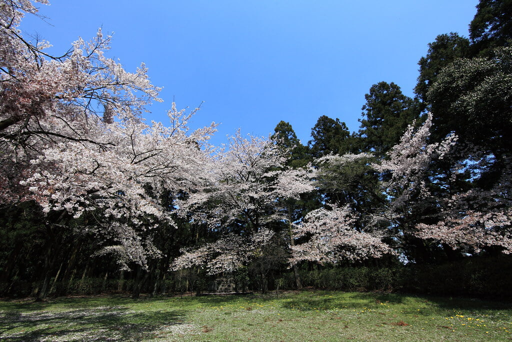 箕輪城跡の写真 ©TANAKA Juuyoh (田中十洋)(CC BY 2.0)