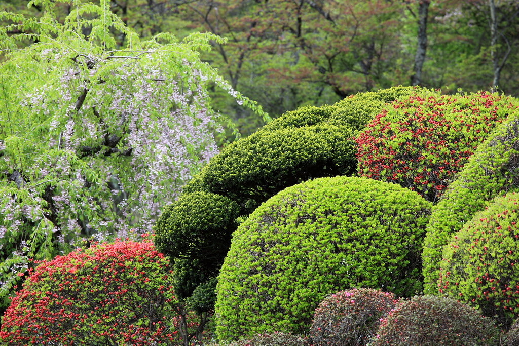 榊山稲荷神社の写真 ©TANAKA Juuyoh (田中十洋)(CC BY 2.0)