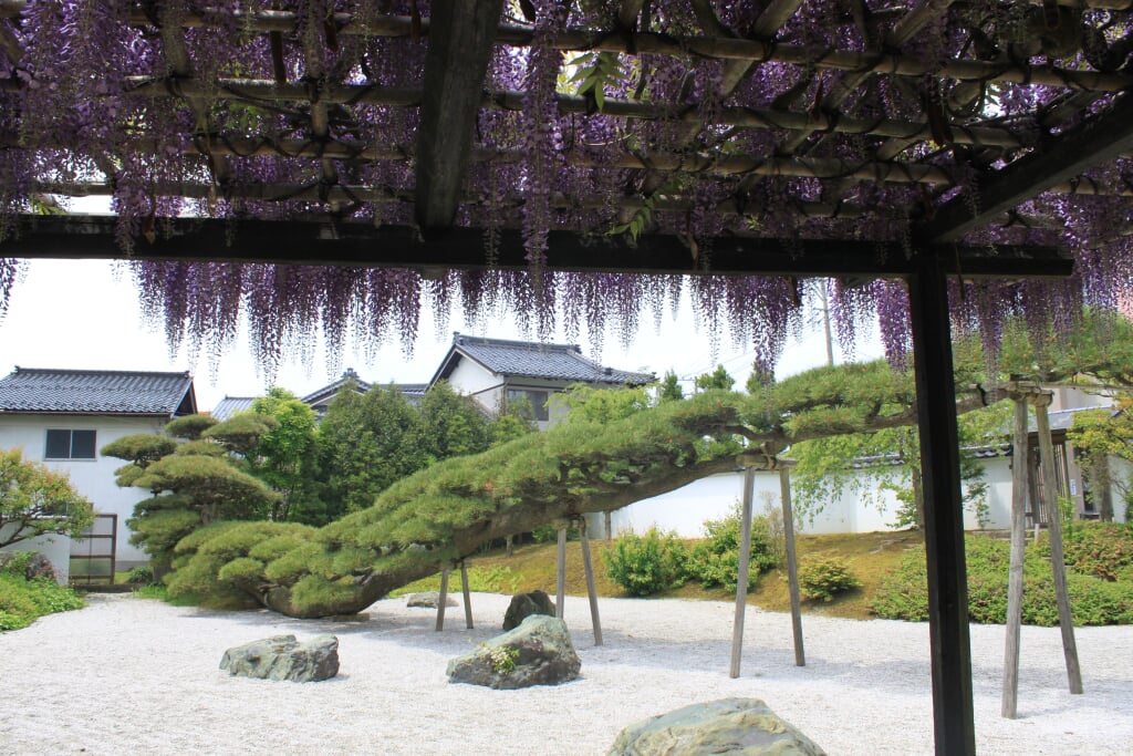 念珠の松庭園の写真 ©くろふね(CC BY 3.0)