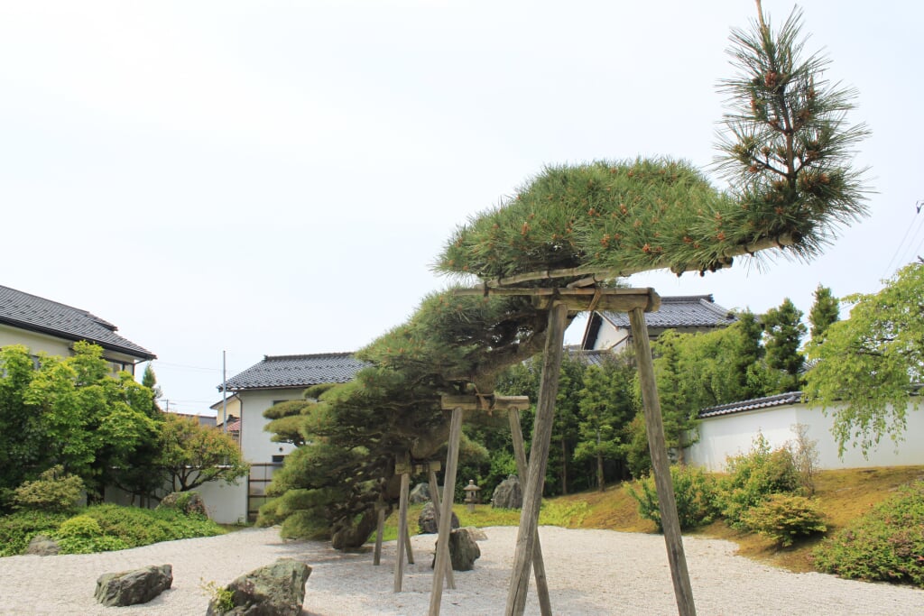 念珠の松庭園の写真 ©くろふね(CC BY 3.0)