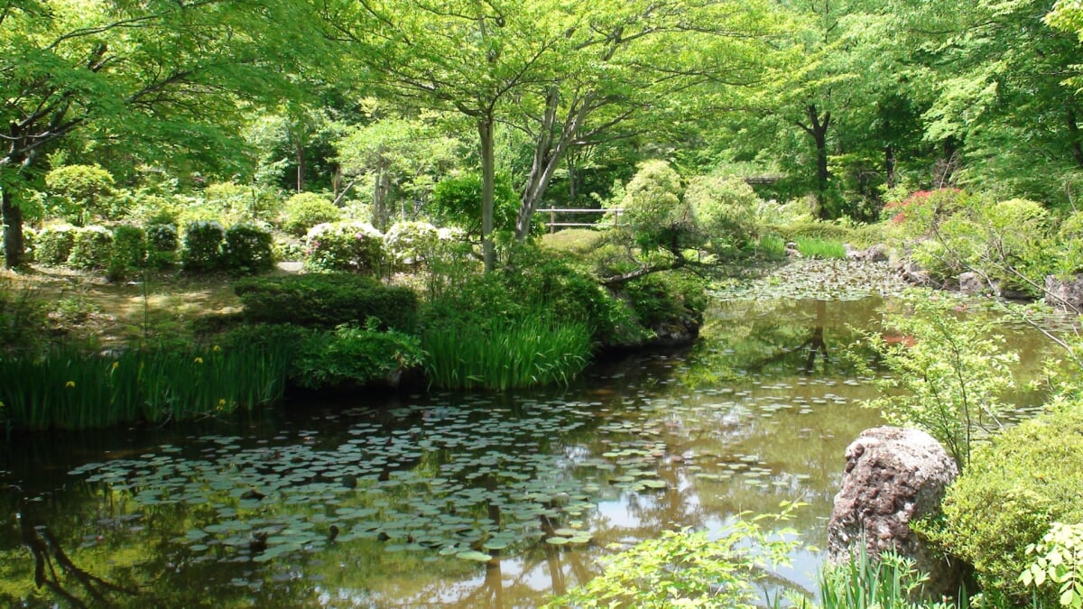 仙台市秋保大滝植物園の写真 