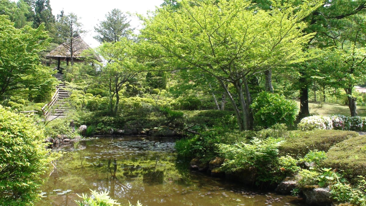 仙台市秋保大滝植物園の写真 