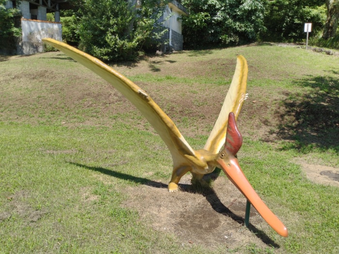 小室山公園 恐竜広場・アスレチックの写真 