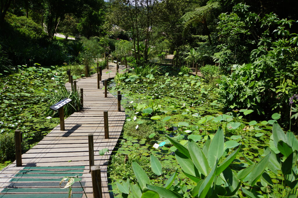 水生植物園の写真 ©lienyuan lee(CC BY 3.0)