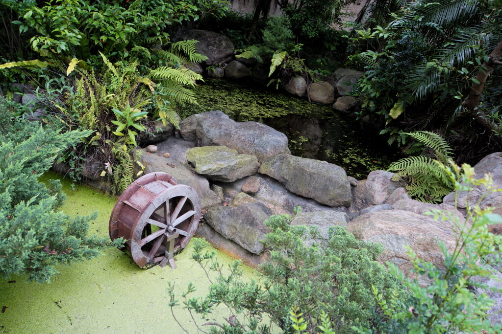 水生植物園の写真 ©lienyuan lee(CC BY 3.0)