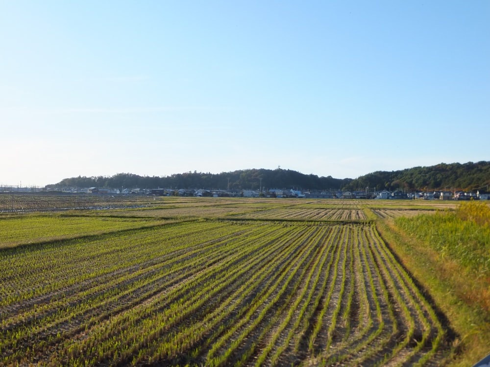 一つ森公園の写真 ©掬茶(CC BY-SA 4.0)