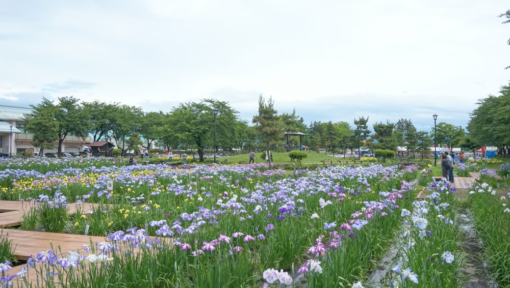 浅舞公園の写真 ©掬茶(CC BY-SA 4.0)