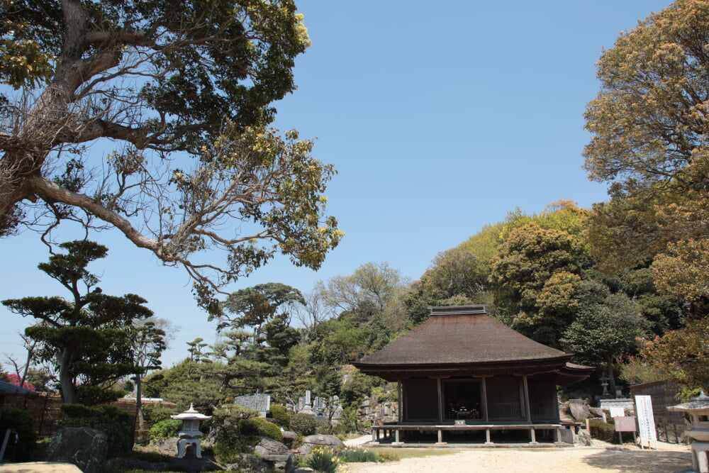 金蓮寺の写真 ©atsushi masegi(CC BY-SA 2.0)