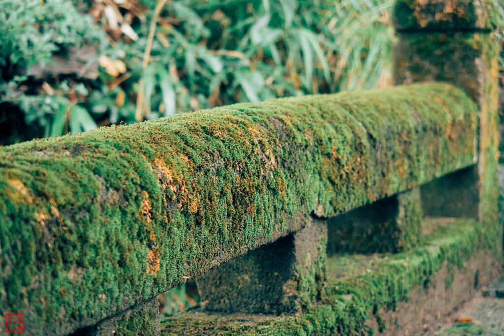 本明寺の写真 ©zunsanzunsan(CC BY-SA 2.0)