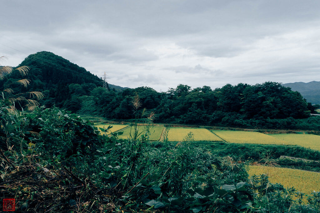 本明寺の写真 ©zunsanzunsan(CC BY-SA 2.0)