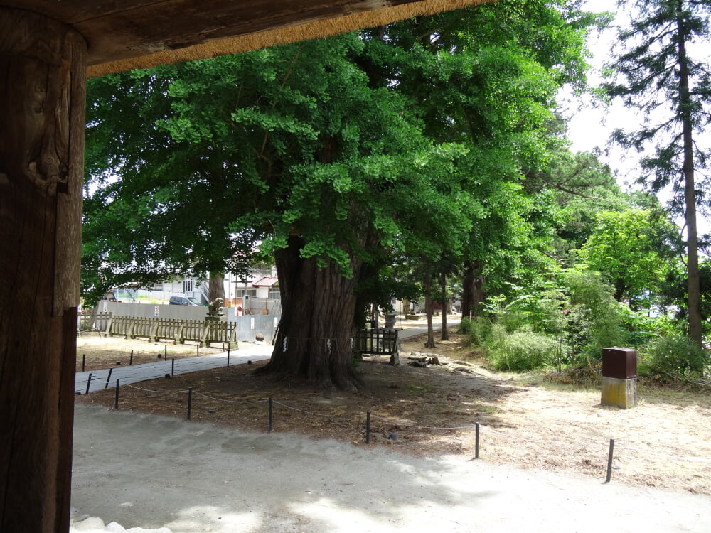 新宮熊野神社の写真 ©MAKIKO OMOKAWA(CC BY-SA 3.0)