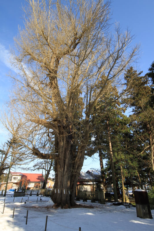 新宮熊野神社の写真 ©Fumihiko Ueno(CC BY 3.0)