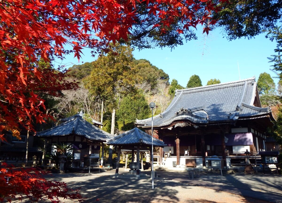 延光寺の写真 ©Dokudami(CC BY-SA 4.0)