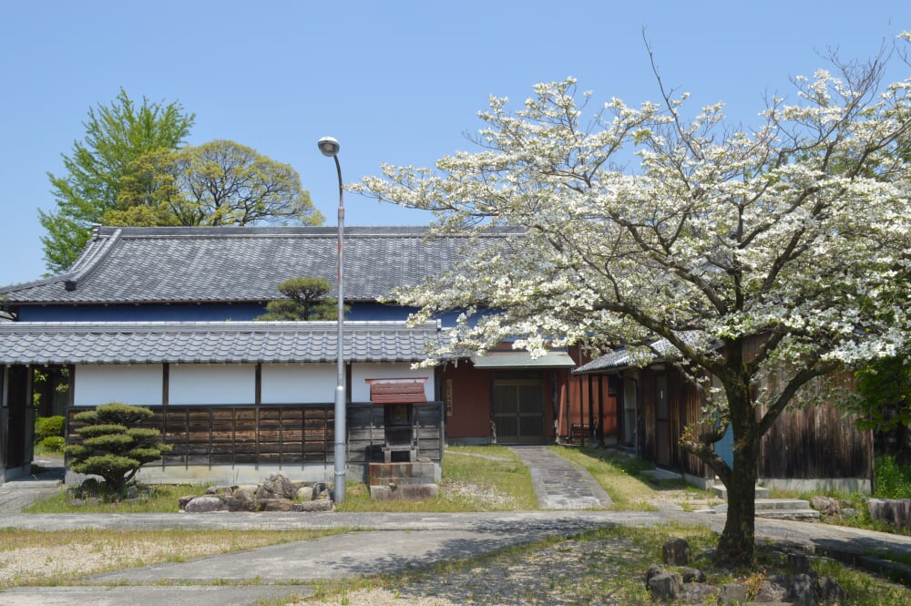 善導寺の写真 ©Asturio(CC BY-SA 4.0)