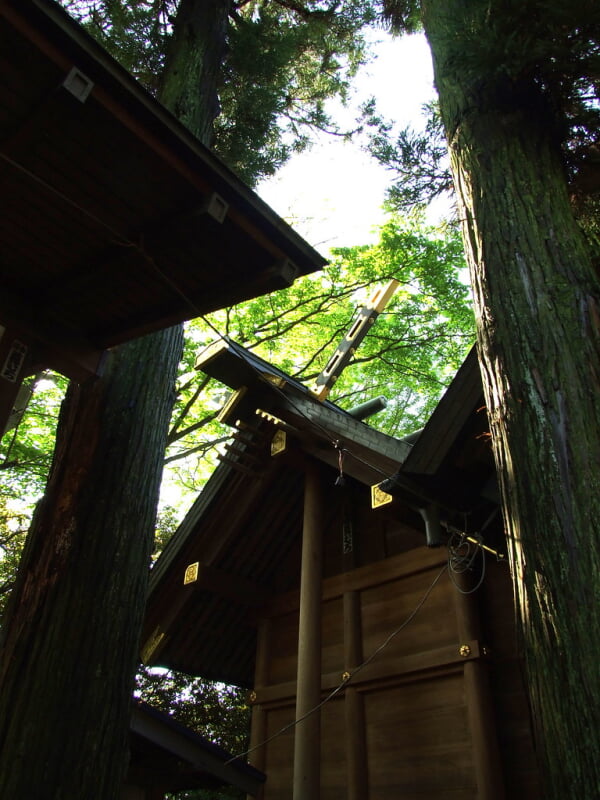 細山神明社の写真 ©mossygajud(CC BY-ND 2.0)