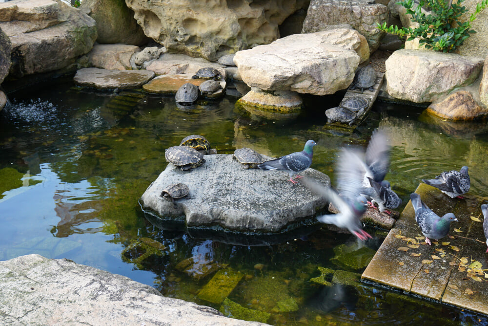 亀山八幡宮の写真 ©663highland(CC-BY-SA-3.0)