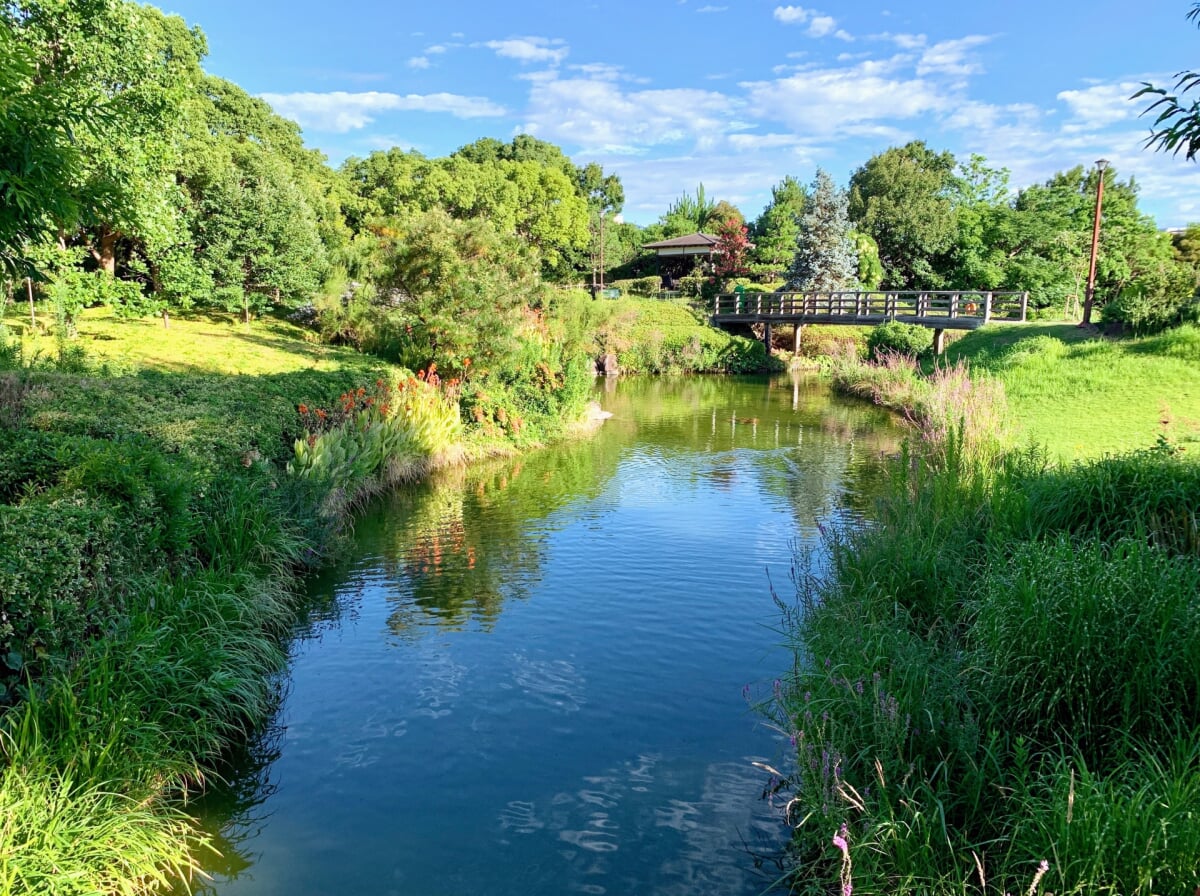 鳴尾浜臨海公園の写真 