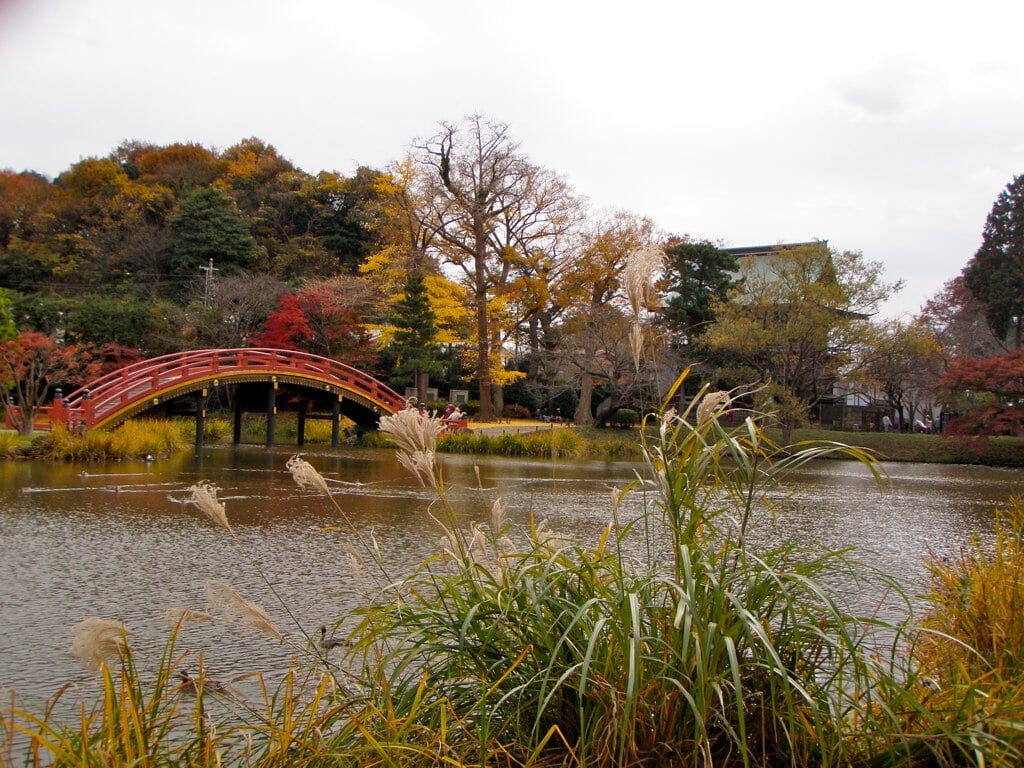 称名寺の写真 ©tsnr(CC BY 2.0)