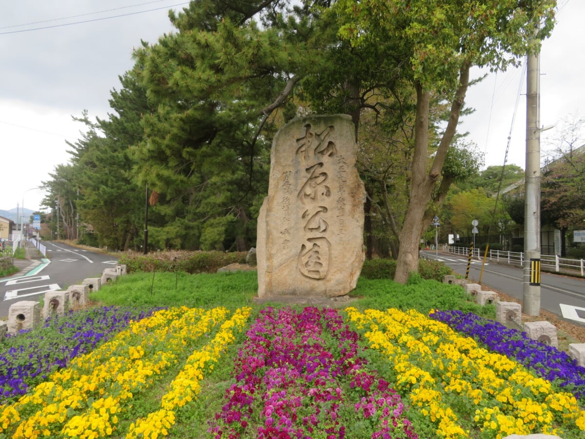 気比の松原(松原公園)の写真 