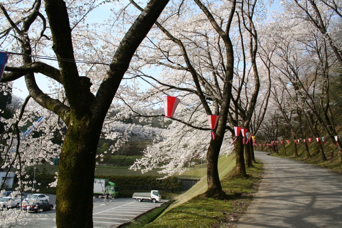 水道つつじ公園の写真 ©SilverHaze(CC BY-SA 3.0)